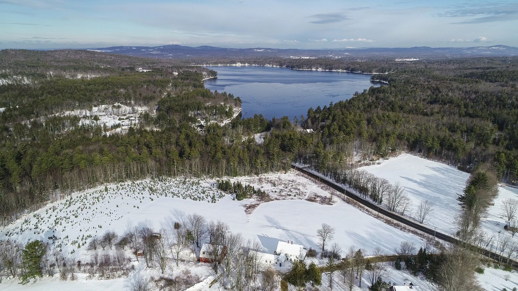 Cut Your Own Christmas Trees Sidmore Family Christmas Tree Farm